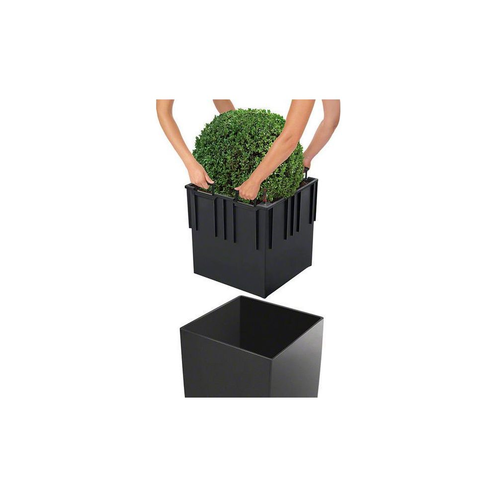 Ręce wkładające zieloną roślinę do czarnej donicy.