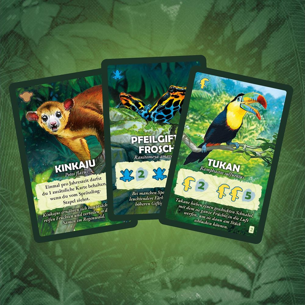 Trois cartes de jeu montrent un kinkajou, une grenouille flèche empoisonnée et un toucan.
