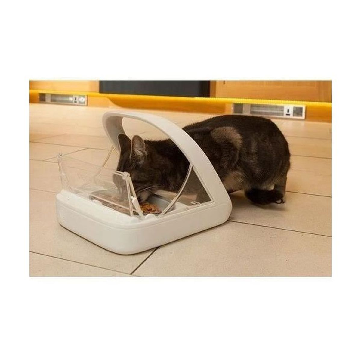 Pręgowany kot je z białego podajnika z przezroczystą pokrywą.