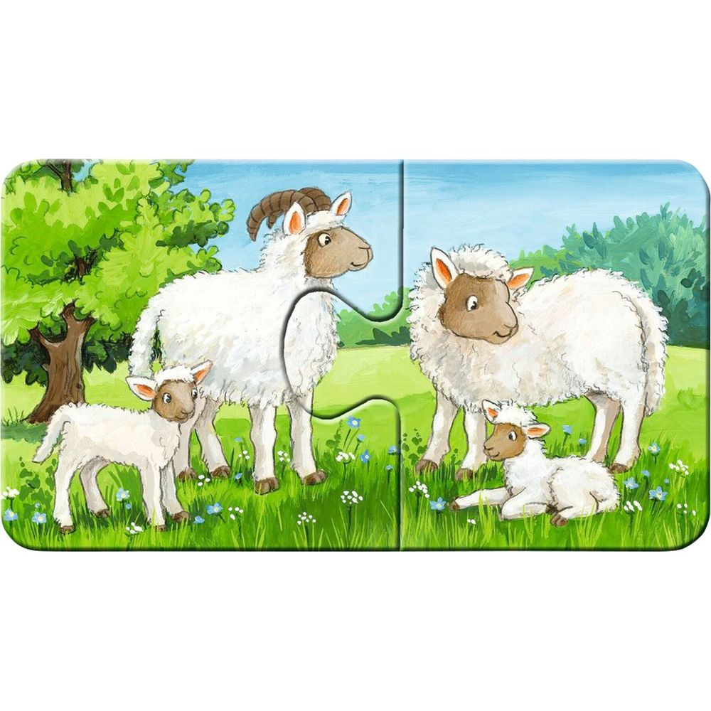 Zwei Schafe und zwei Lämmer auf einer grünen Wiese.