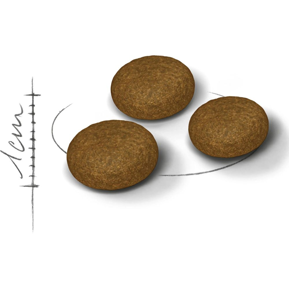 Trzy okrągłe, brązowe granulki leżą na białym tle obok skali.