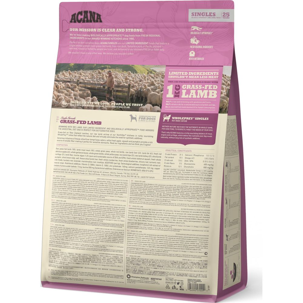 Mężczyzna stoi przed stadem owiec na zielonej łące.