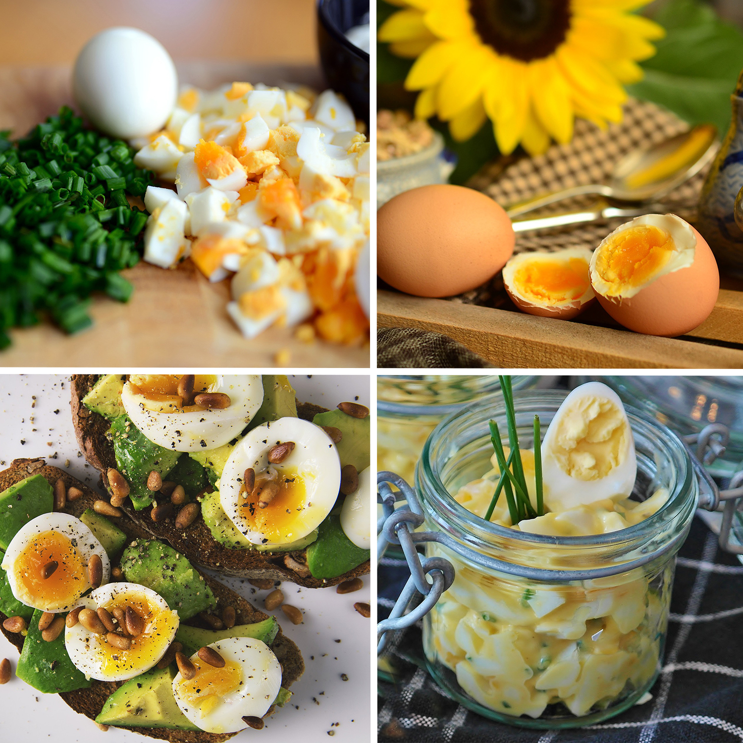 Vier Bilder von Eiersalat und Avocado-Toast. Gehackte Eier, Schnittlauch, Sonnenblume.
