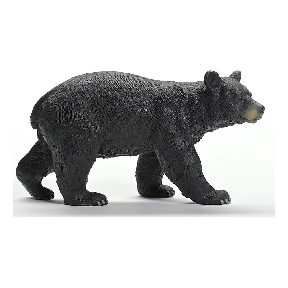 Czarny niedźwiedź idzie w prawo na białym tle.