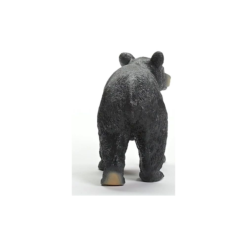 Czarny niedźwiedź, widziany od tyłu, stoi na białym tle.