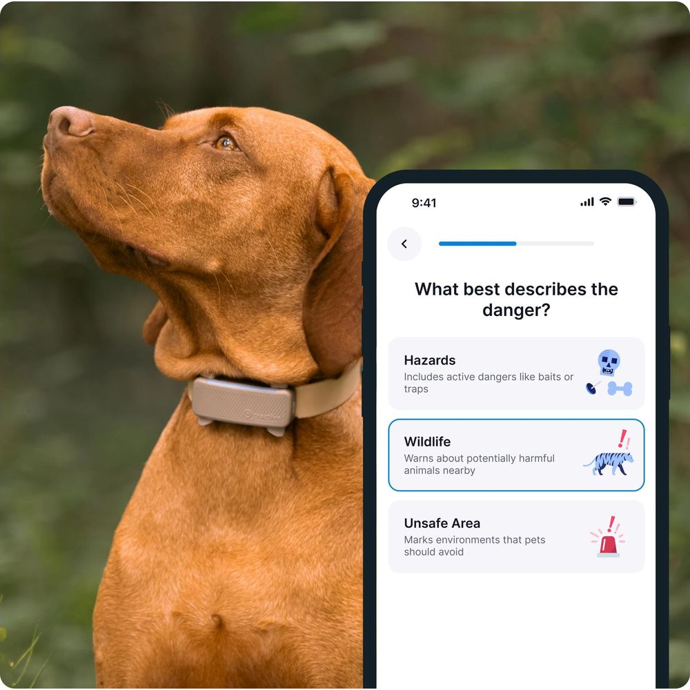 Brązowy pies z obrożą obok smartfona wyświetlającego opcje zagrożeń.