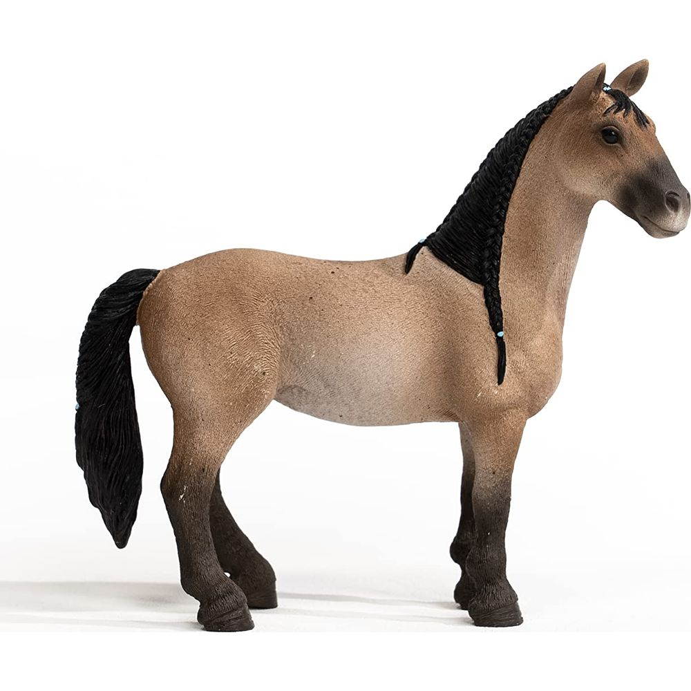Ein braunes Pferd mit schwarzer Mähne und Schweif steht auf weißem Hintergrund.