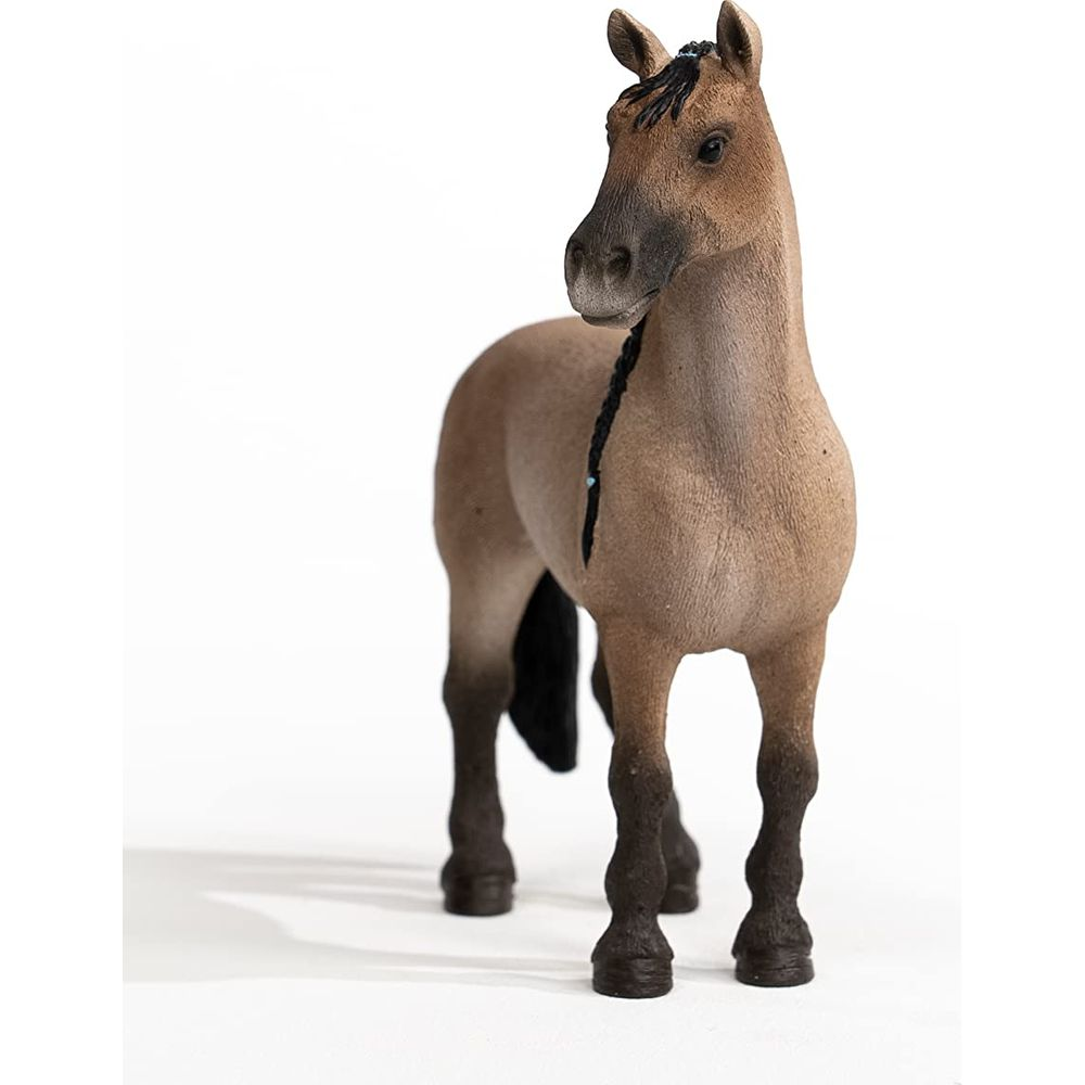 Ein braunes Pferd mit geflochtenem Schweif steht vor weißem Hintergrund.