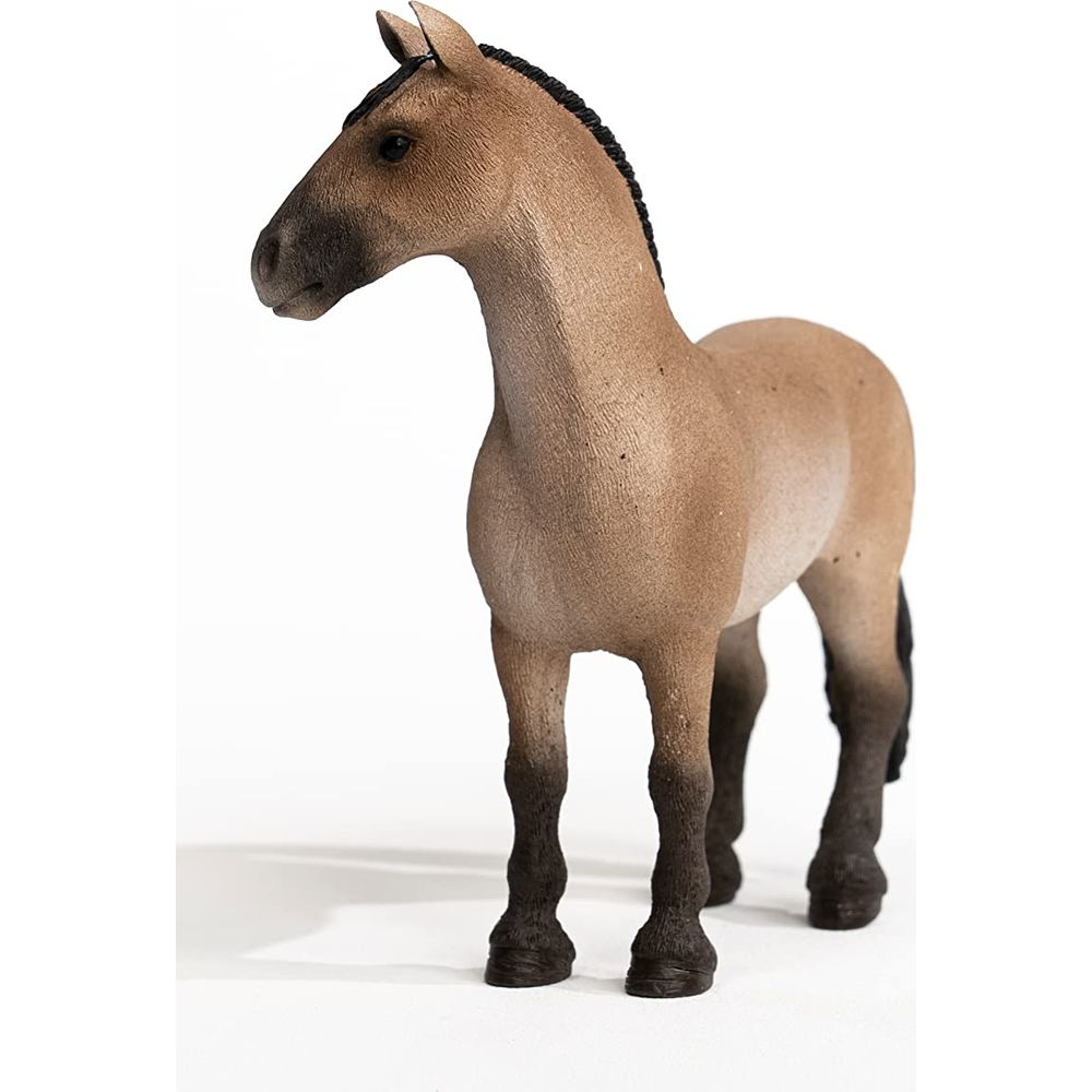 Ein braunes Pferd mit dunkler Mähne steht auf weißem Hintergrund.