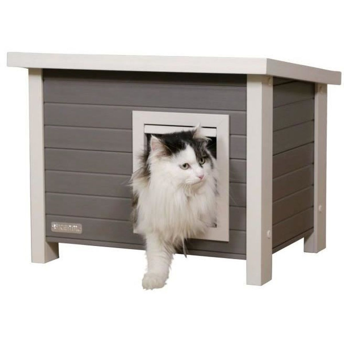 Un gatto con pelo nero sulla testa sporge da una casa grigia con tetto bianco.