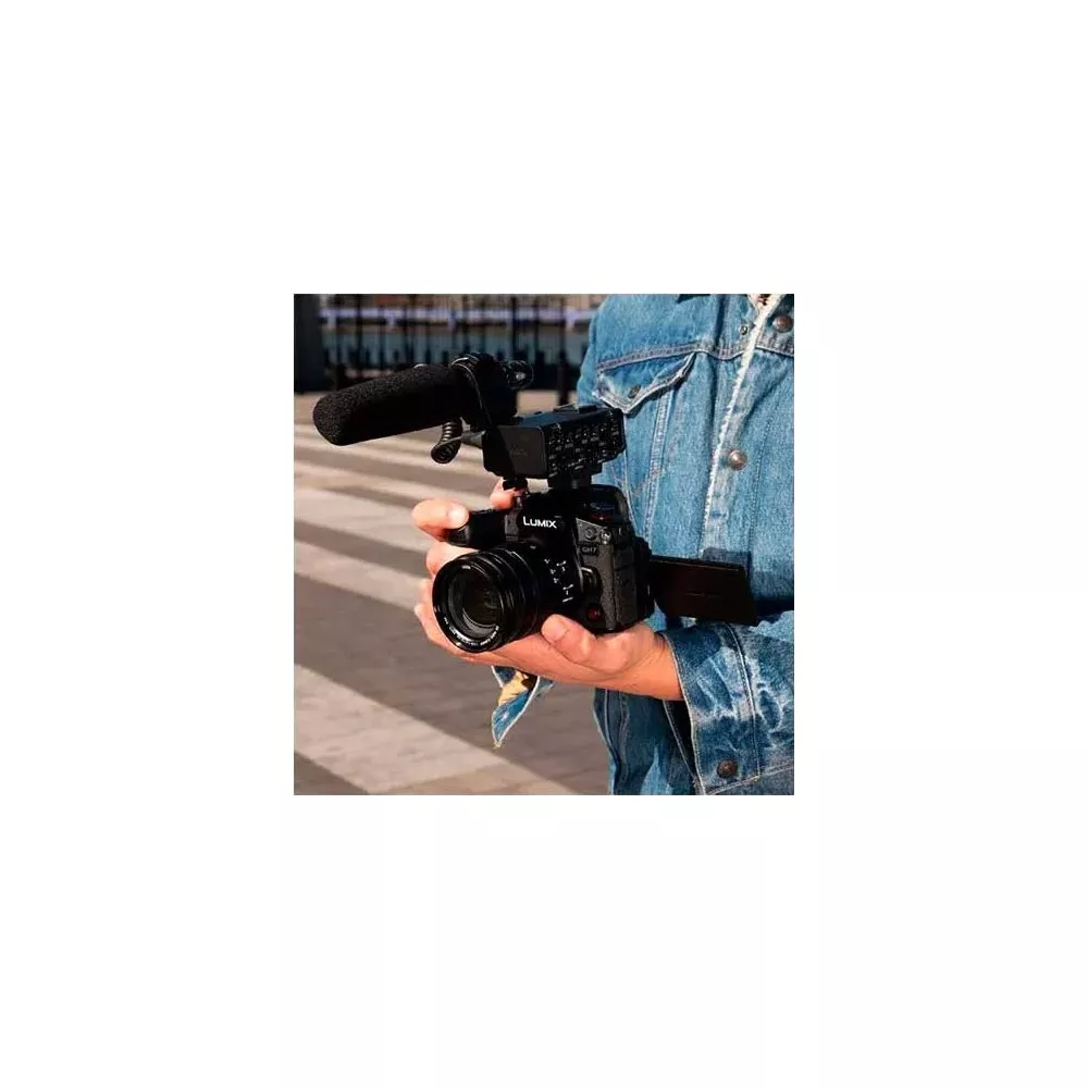 Personne tenant une caméra Panasonic Lumix avec microphone et moniteur externe.