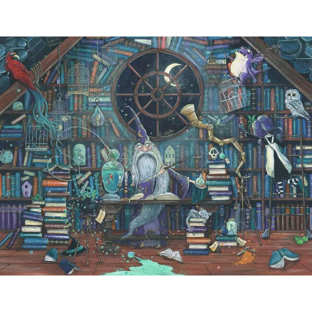 Czarodziej w bibliotece otoczony książkami, ptakami i żabami.