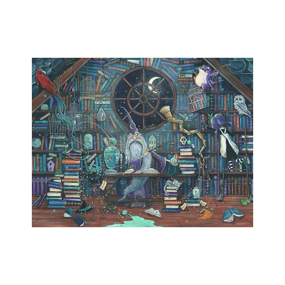 Czarodziej siedzi przy biurku w zagraconym pokoju pełnym książek, zwierząt i magicznych przedmiotów.