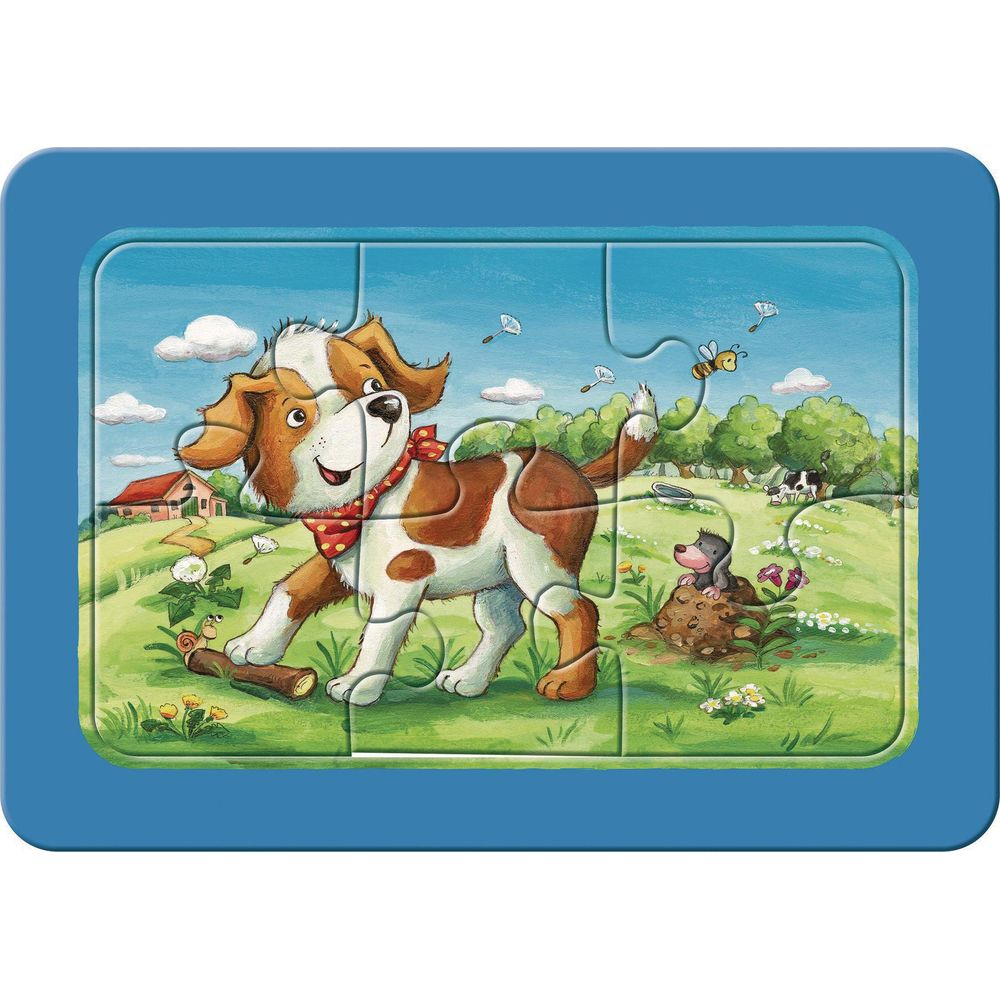 Ein Hund im Freien mit einem Maulwurf und einer Biene.