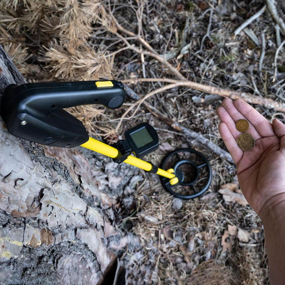 Un detector de metales yace junto a corteza de árbol. Una mano sostiene dos monedas.