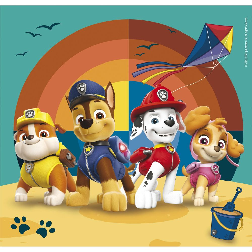 Vier Paw Patrol honden op een strand met een vlieger in de lucht.