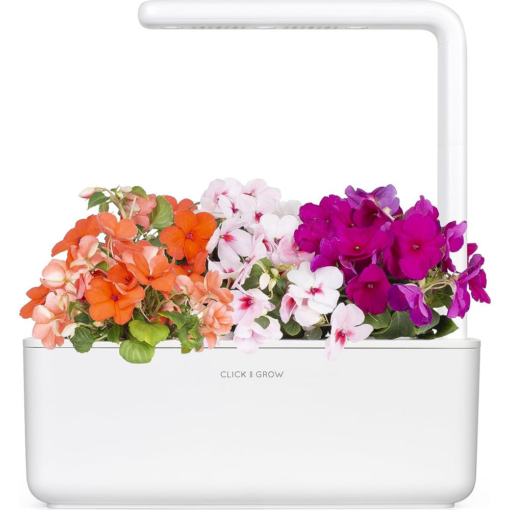 Een witte plantenbak met levendige oranje, roze en paarse bloemen.