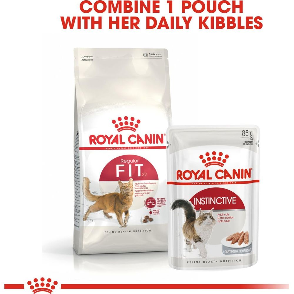 Comida para gatos Royal Canin: Bolsa y paquete con ilustraciones de gatos.