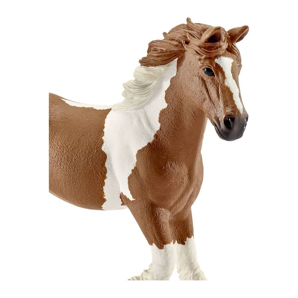 Brązowy i biały koń pinto z falującą grzywą i białym znaczeniem na czole.