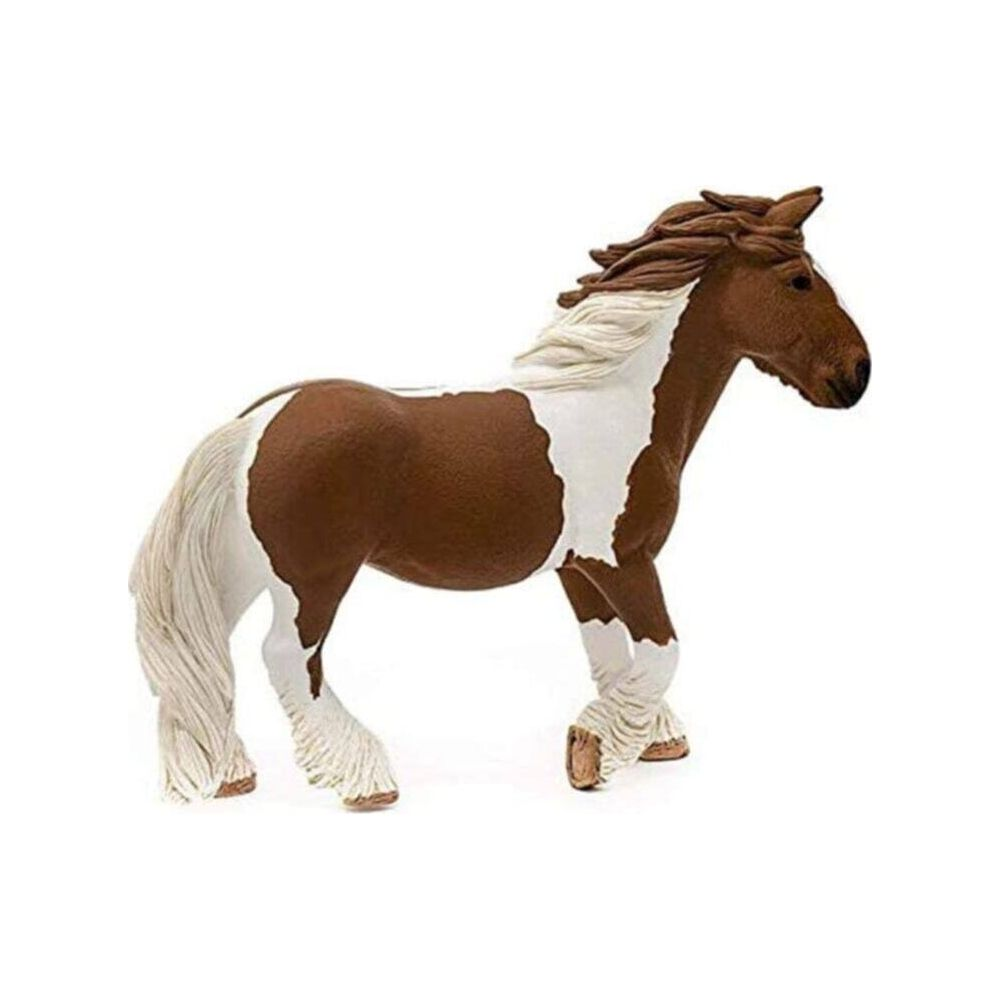 Brazowo-biały koń z długą grzywą i ogonem stoi na białym tle.