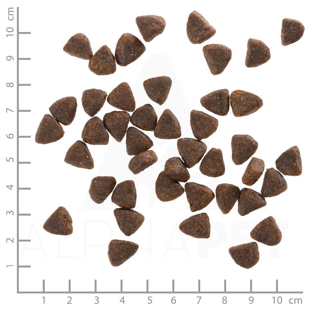 Wiele brązowych, trójkątnych granulek suchej karmy dla zwierząt na białym tle z linijką.