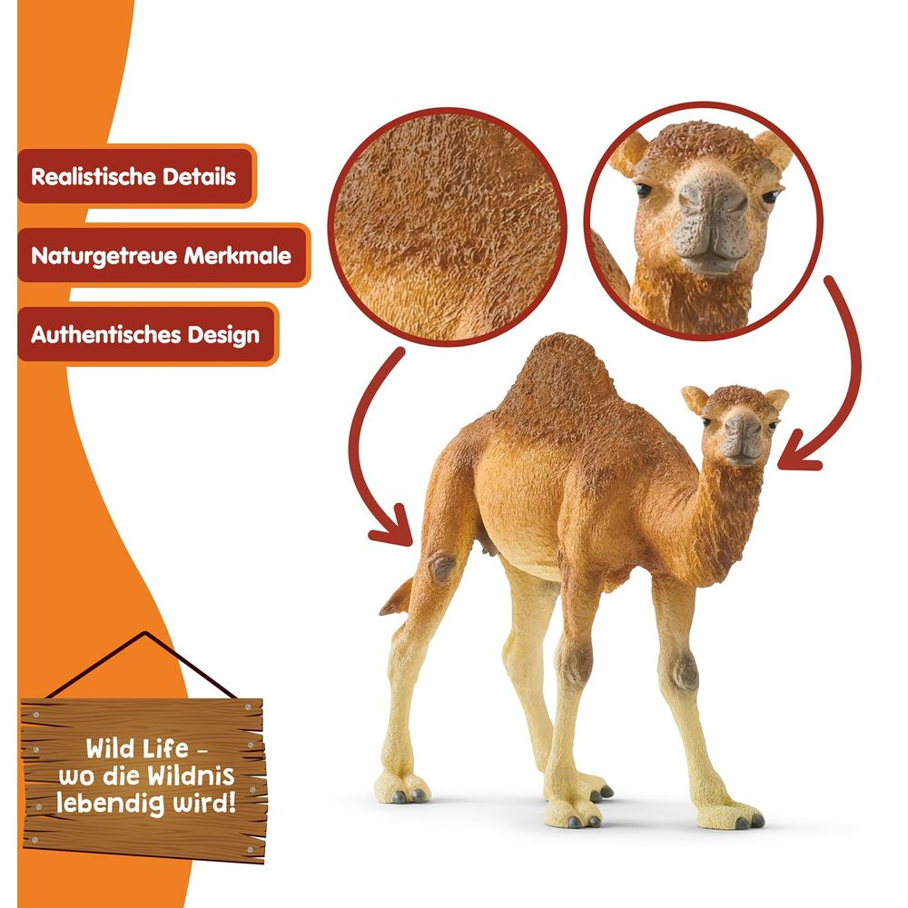 Model wielbłąda z zbliżeniami futra i głowy.