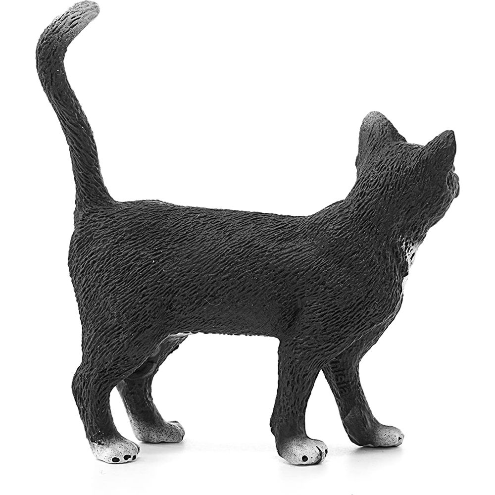 Chat noir avec queue levée et pattes blanches sur fond blanc.