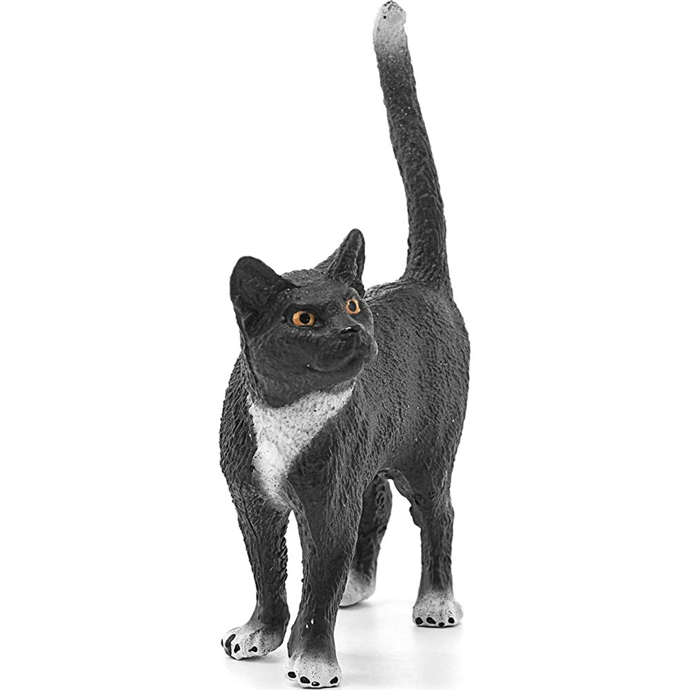 Un chat noir aux accents blancs et aux yeux oranges se tient droit.