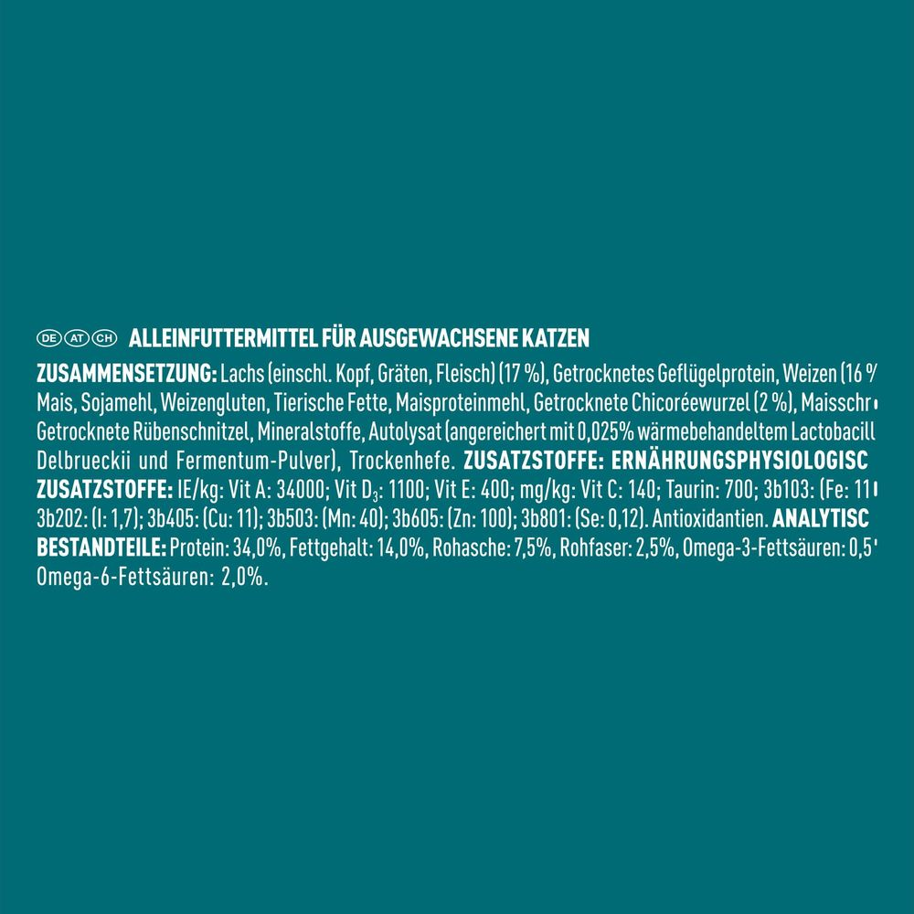 Informacje o karmie dla dorosłych kotów: składniki i wartości odżywcze.