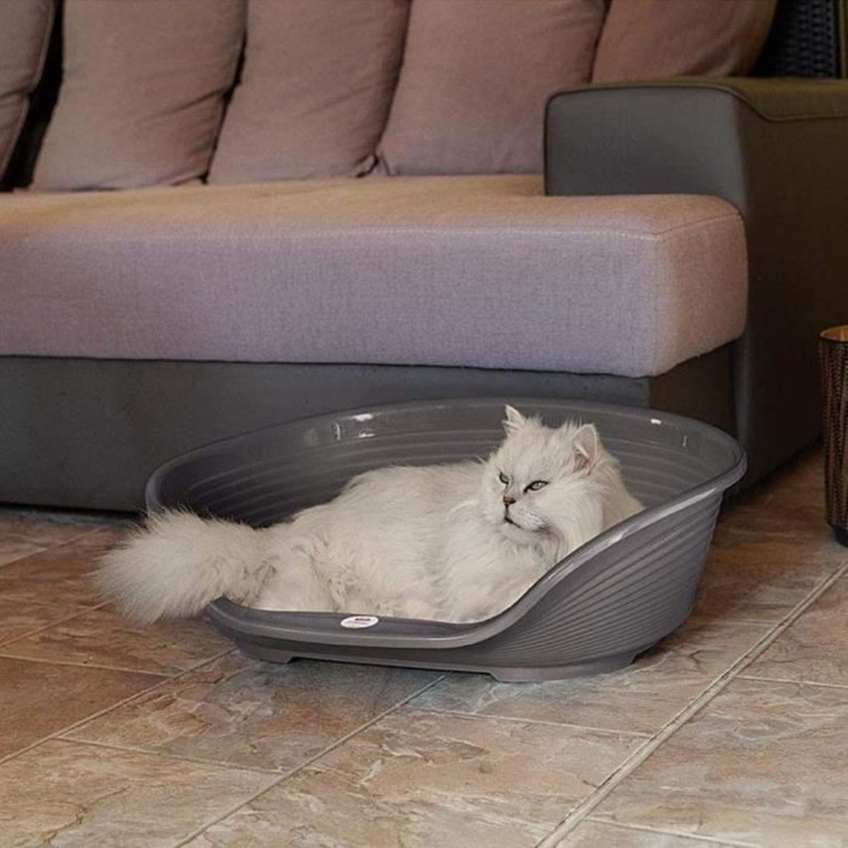 Eine weiße Katze liegt in einem grauen Bett auf einem gefliesten Boden.
