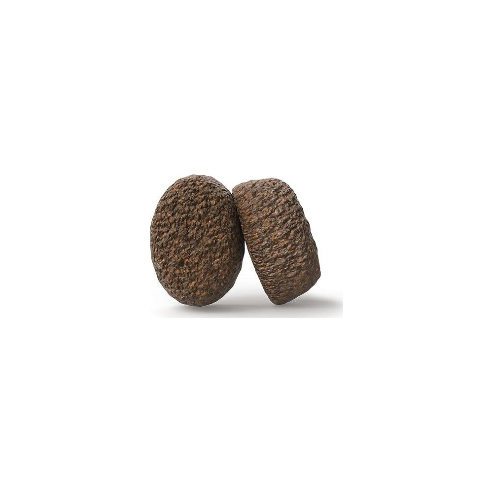 Dos piedras marrones y rugosas una al lado de la otra sobre fondo blanco.