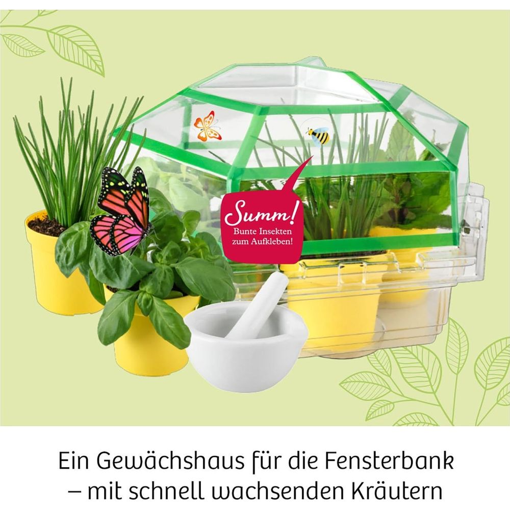 Ein Mini-Gewächshaus mit Kräutern, Schmetterlingen und Bienen-Aufklebern.