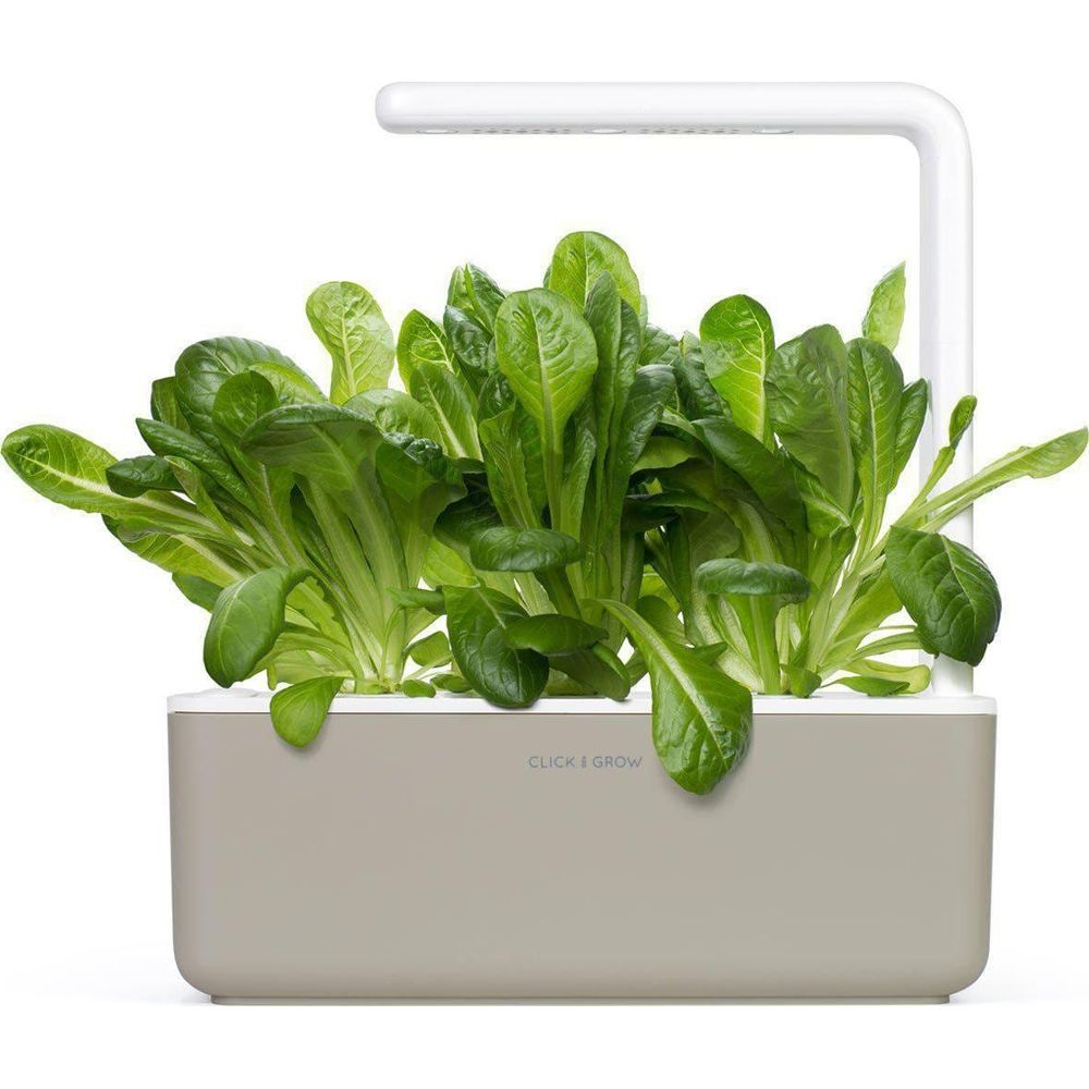 Des plants de laitue frais poussent dans un jardin d'intérieur beige sous une lumière LED blanche.