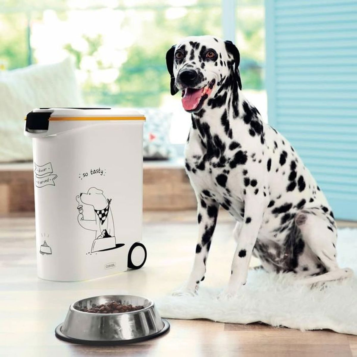 Un dalmata seduto accanto a un contenitore per alimenti con una ciotola.