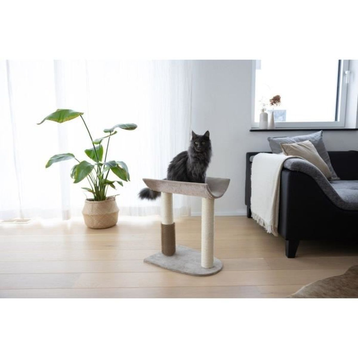 Un gatto nero seduto su un tiragraffi accanto a una pianta e un divano.