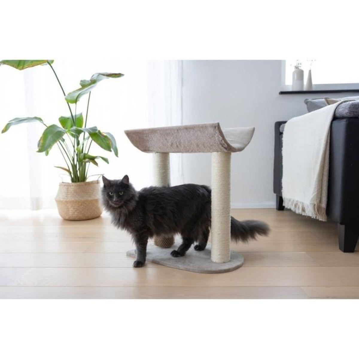 Un gatto grigio vicino a un tiragraffi con una pianta in vaso.