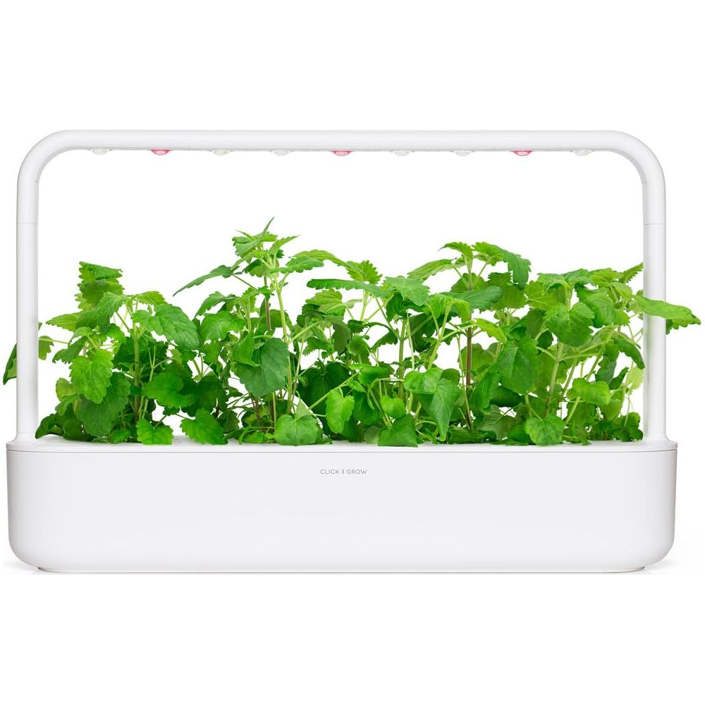Des plantes vertes poussent dans un jardin intérieur blanc avec lumières LED.