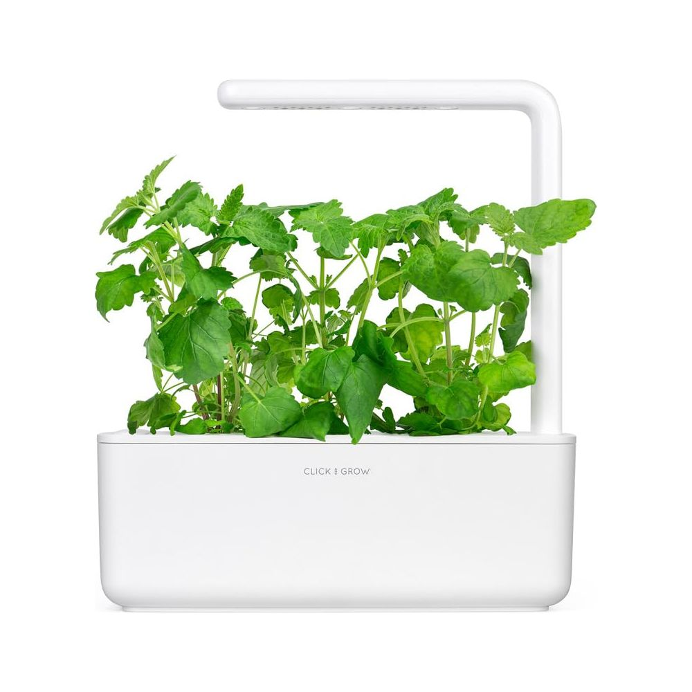 Des plantes vertes poussent dans un récipient blanc sous une lampe LED.