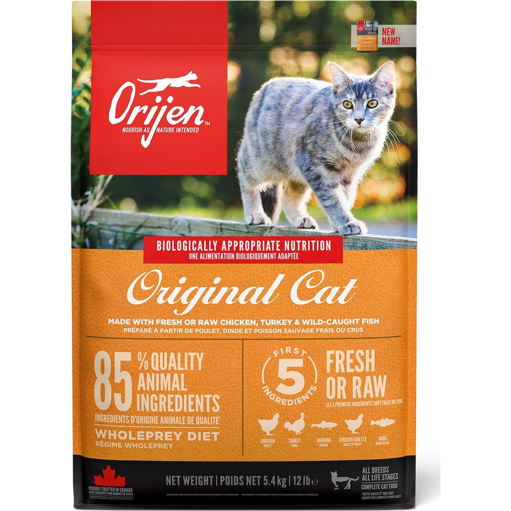 Szary pręgowany kot stoi na drewnianym płocie przed opakowaniem karmy Orijen.