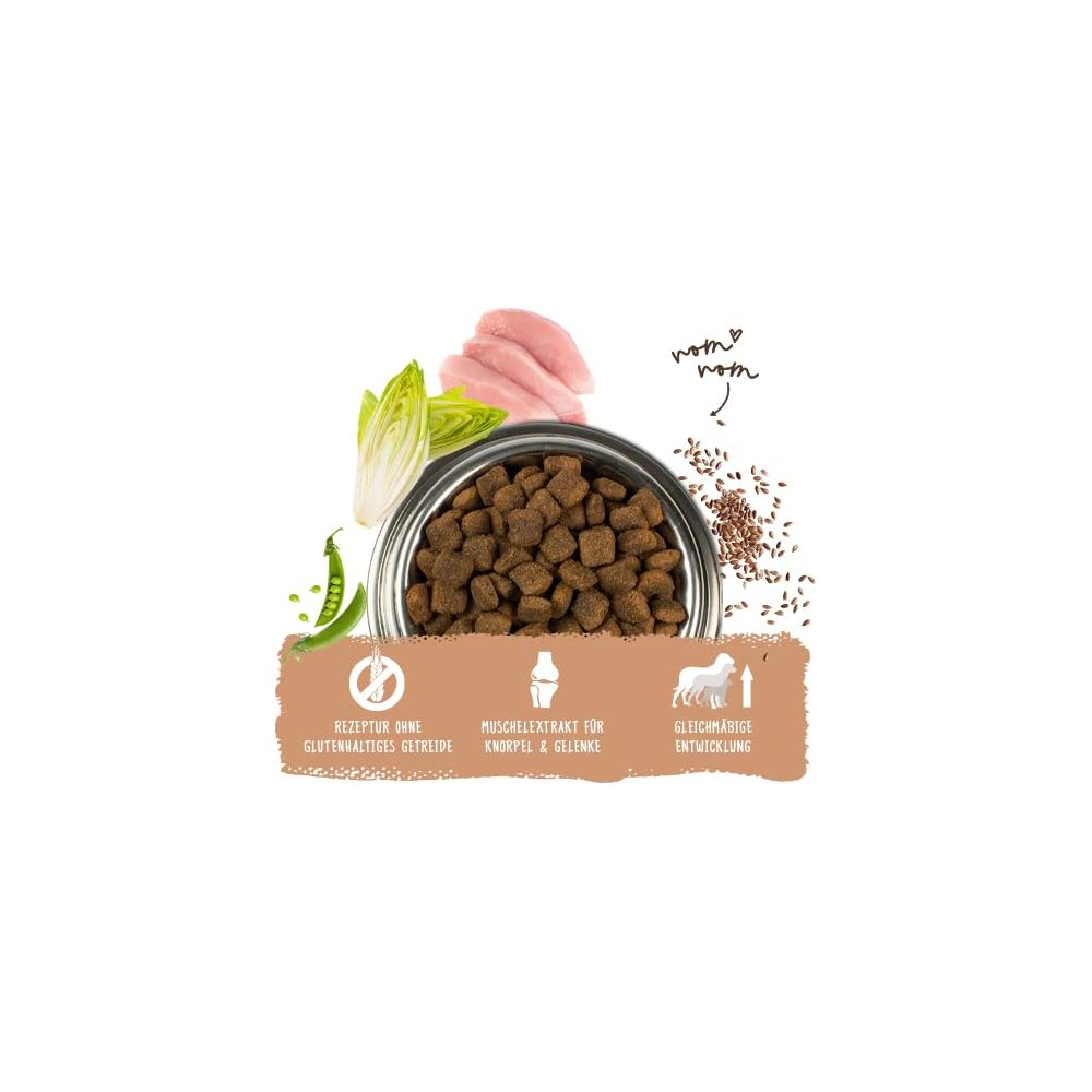 Karma dla psa w misce z kurczakiem, sałatą, groszkiem i nasionami. Ikony.