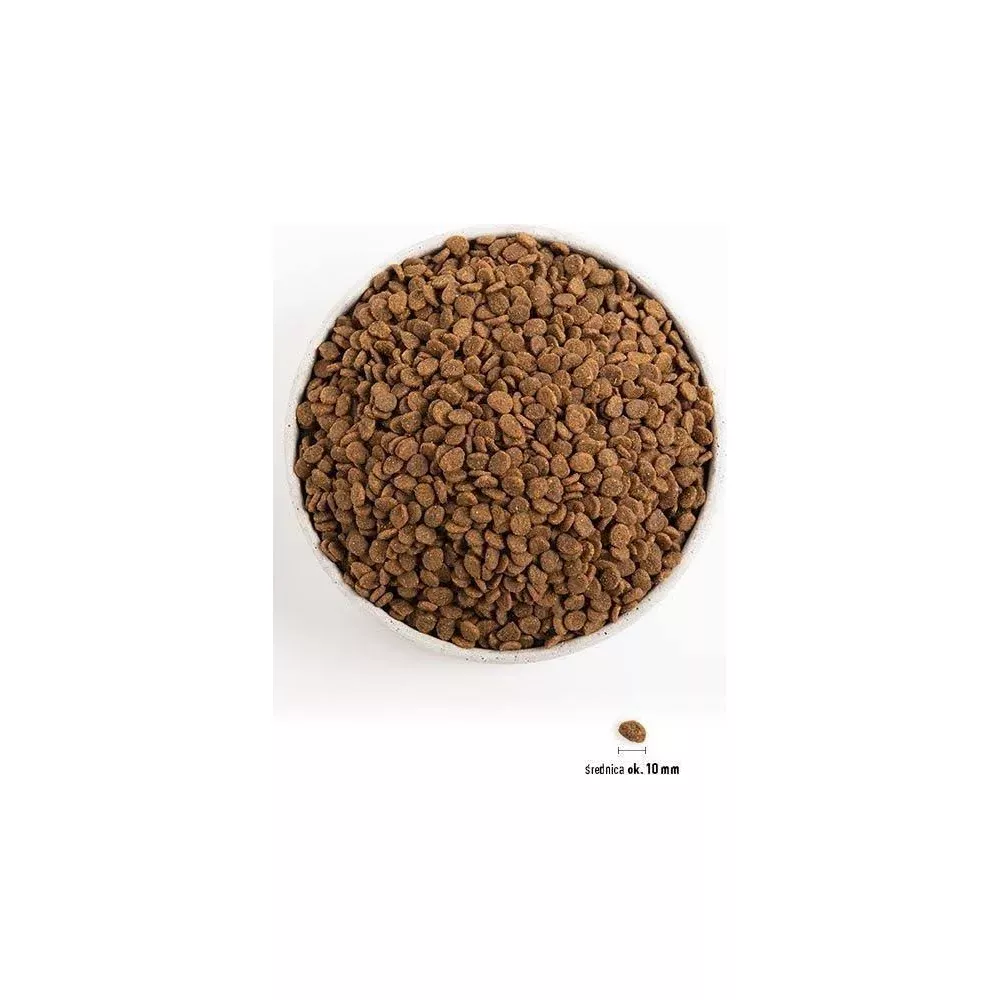 Miska pełna brązowej karmy dla zwierząt, obok pojedyncza karma.