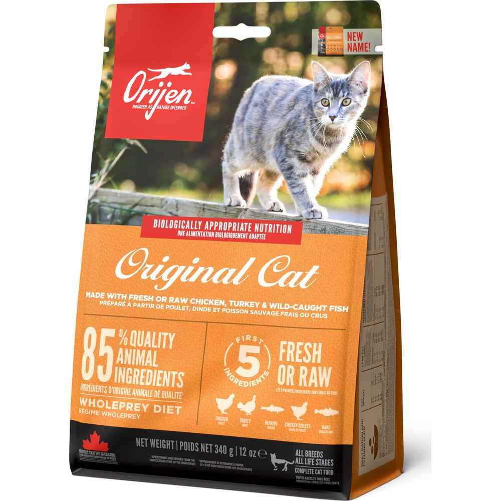 Kot stoi na drewnianym płocie przed torbą karmy dla kotów Orijen.