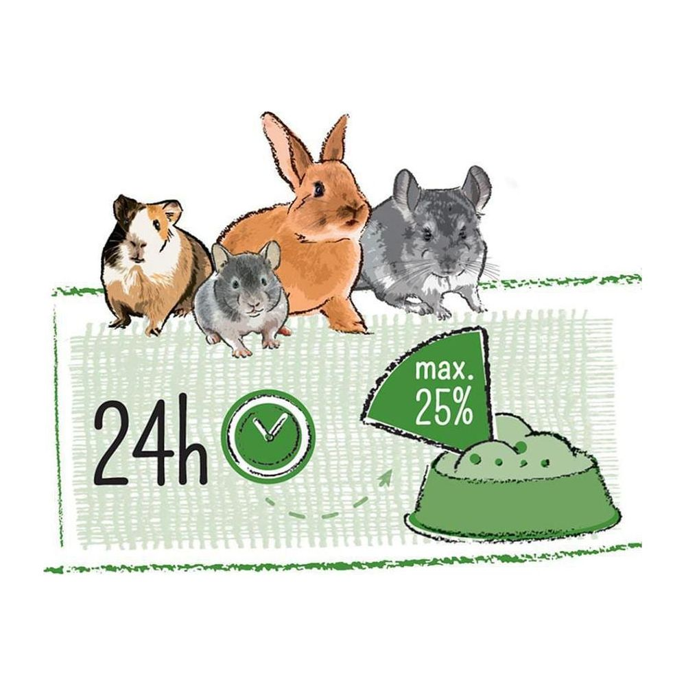 Un conejillo de indias, dos chinchillas y un conejo ante un display de 24h.