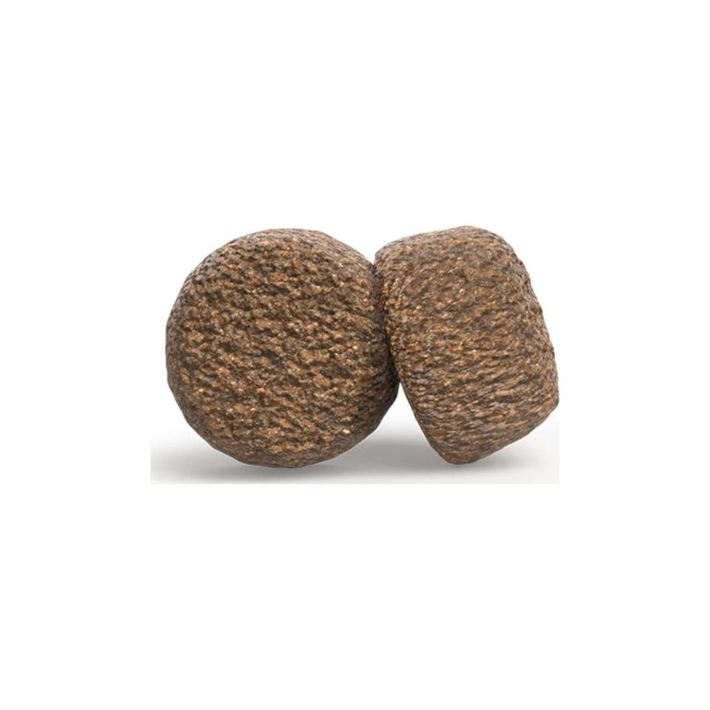 Dwa okrągłe, brązowe, szorstkie obiekty leżą obok siebie.