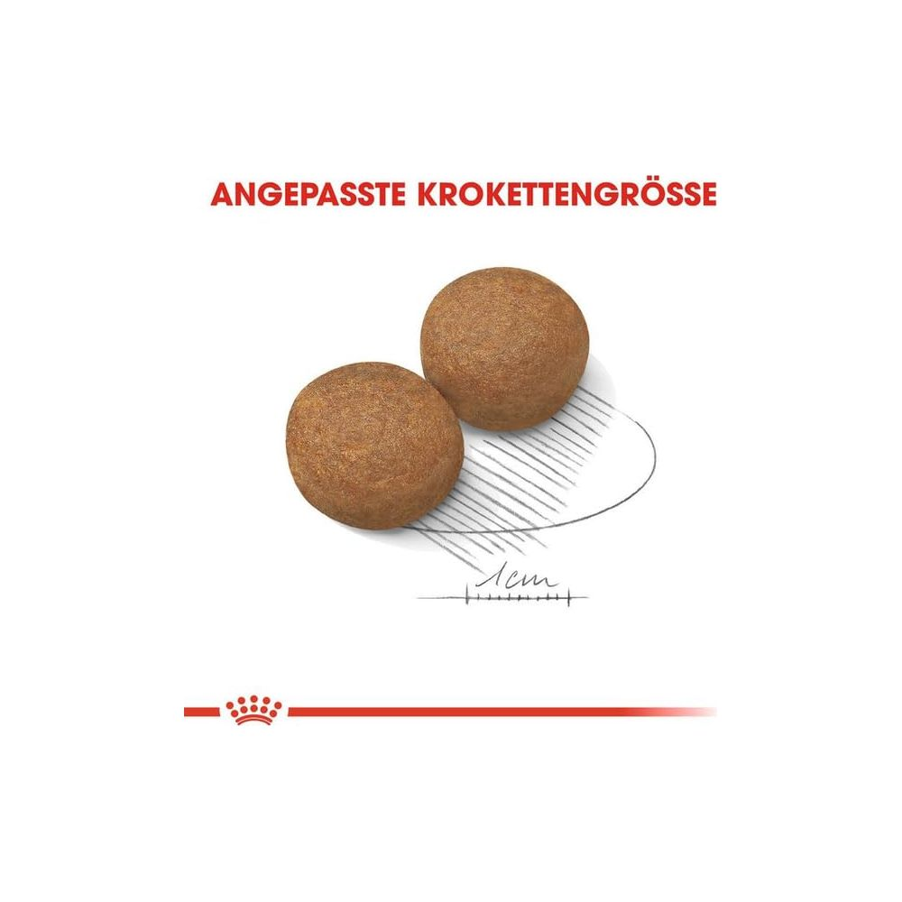 Zwei braune Kroketten auf weißem Grund, Größenmaßstab darunter.