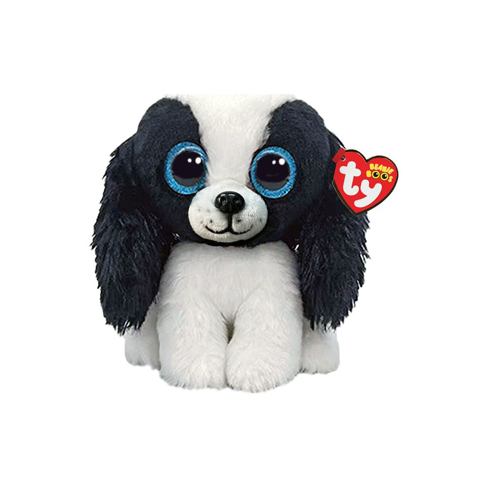 Ein flauschiger schwarz-weißer Plüschhund mit großen blauen Augen sitzt.