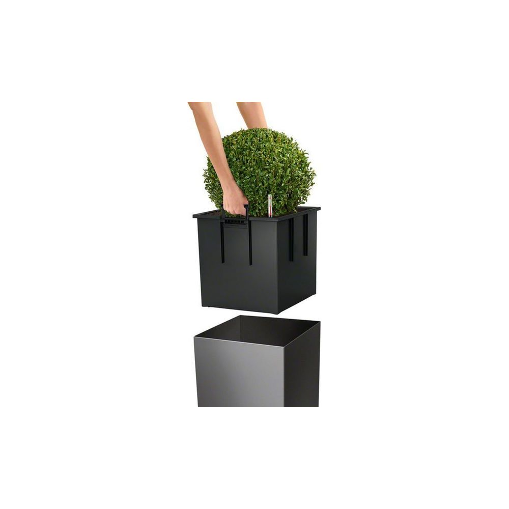 Une personne place une plante verte ronde dans un pot carré noir. Un autre pot en dessous.