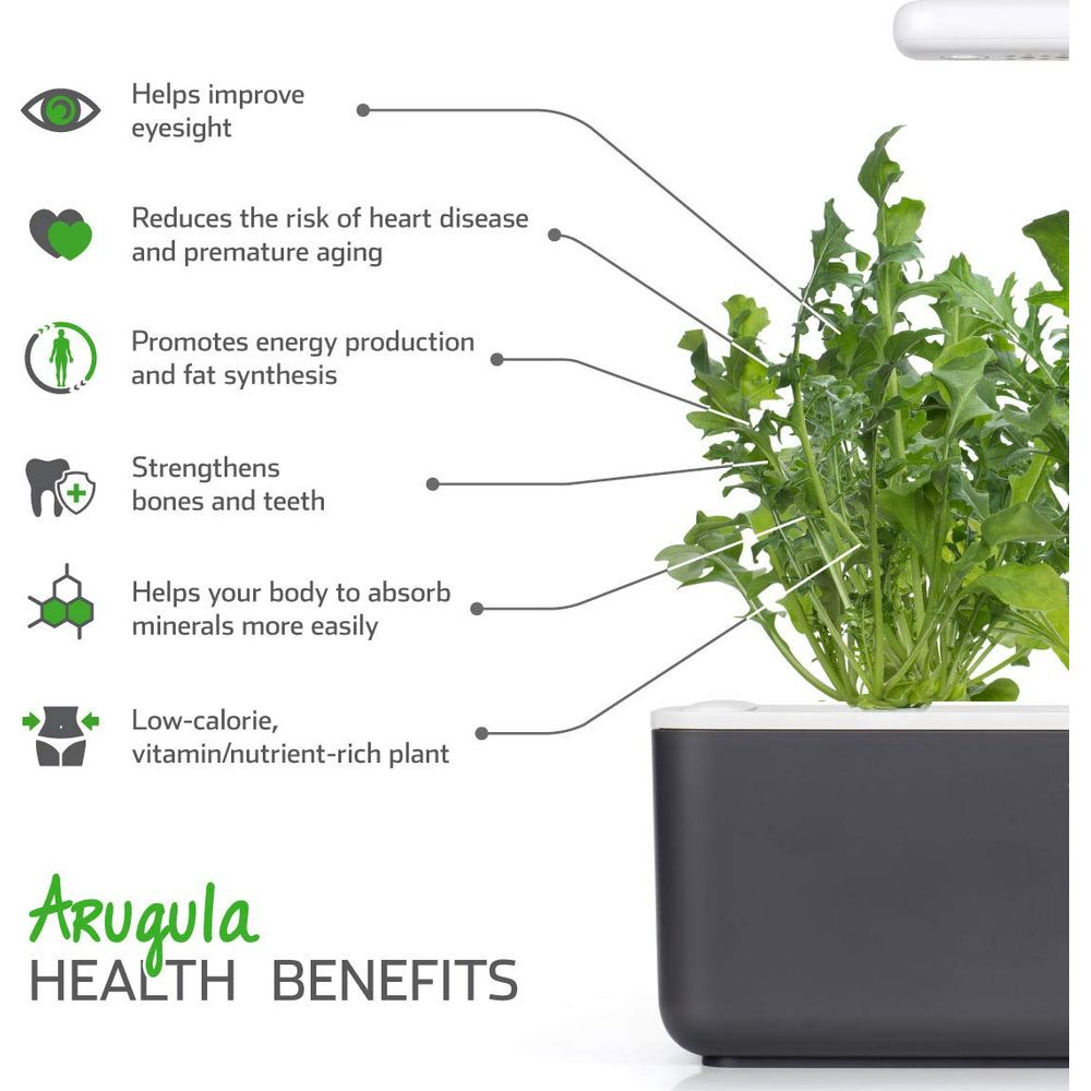 Bienfaits de la roquette: améliore la vue, réduit les maladies cardiaques, favorise l'énergie, renforce les os.