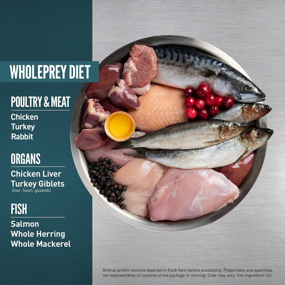 Miska świeżego surowego mięsa: ryby, drób, podroby i jagody.