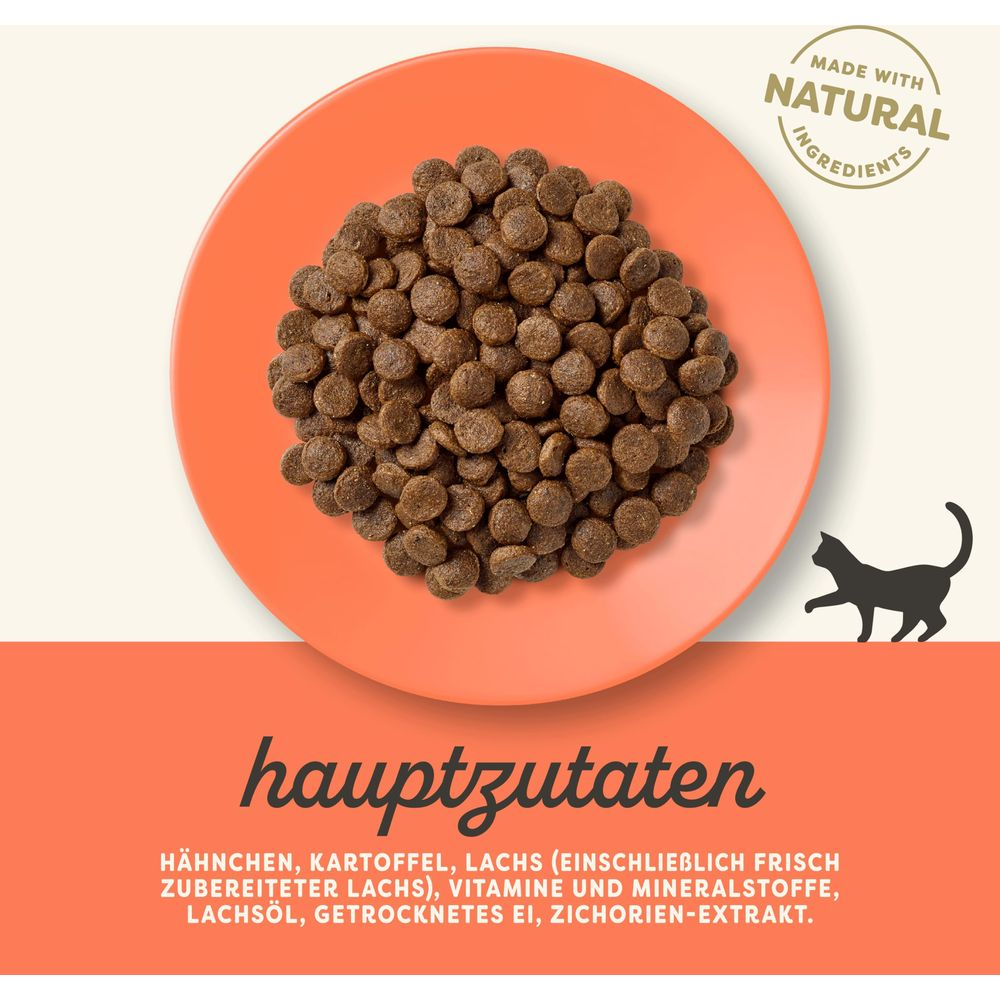 Pomarańczowy talerz z brązową karmą dla kota i sylwetką kota.